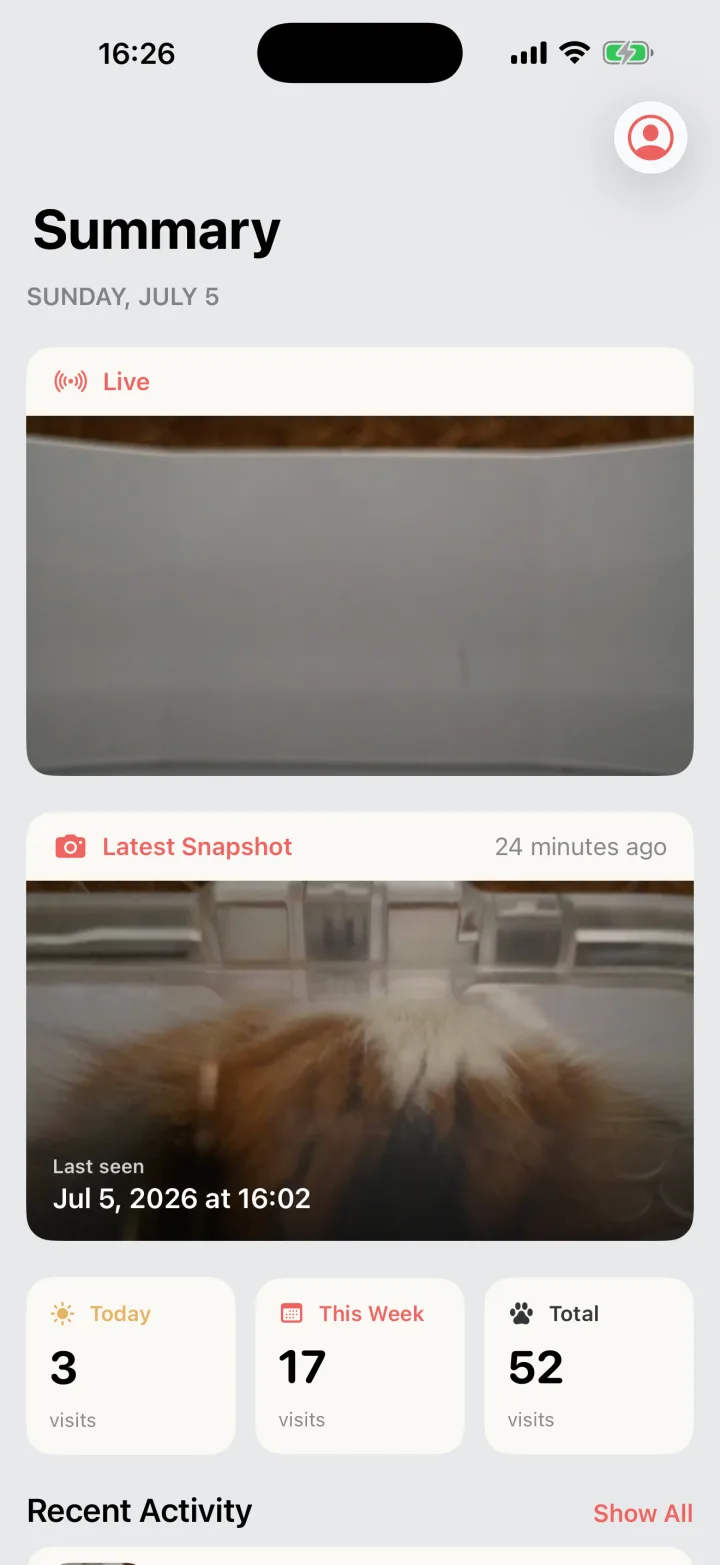 catscan dashboard showing the live stream, the latest snapshot, and visit statistics